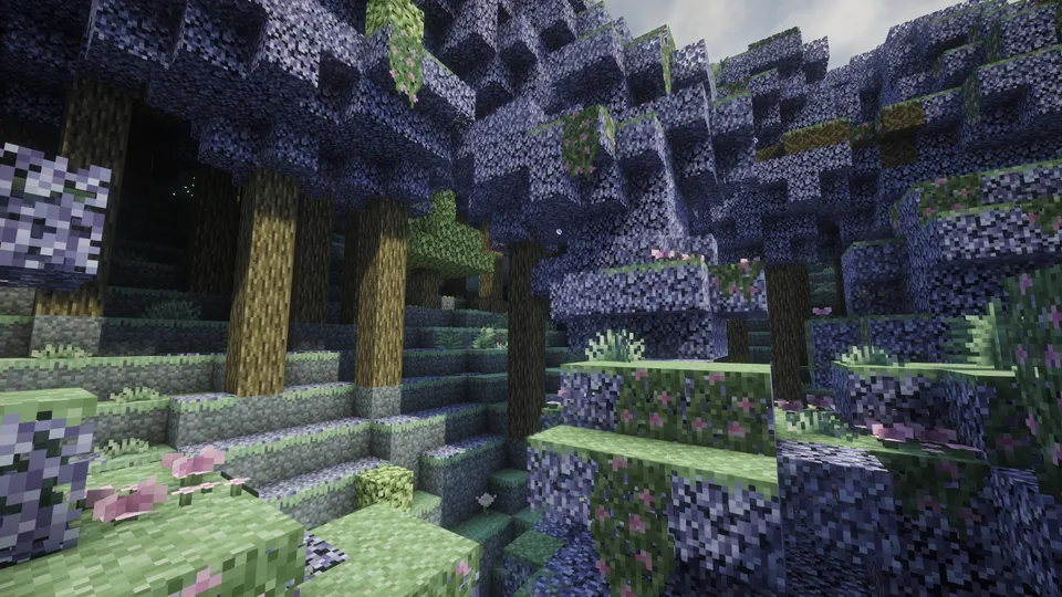 バイオーム：覆われた森