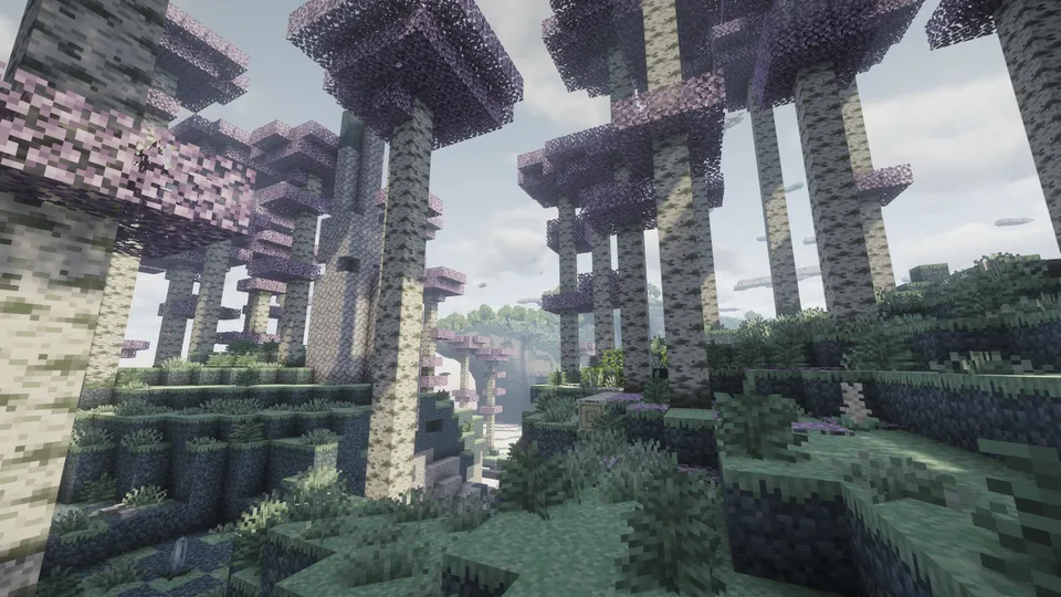 バイオーム：スミレの高原林